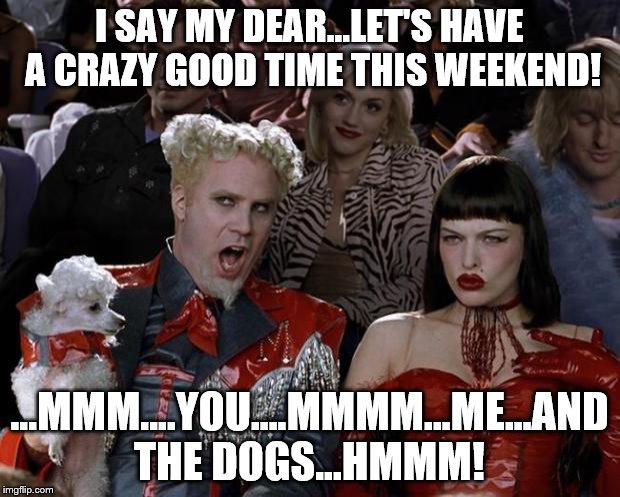 Mugatu So Hot Right Now Meme | I SAY MY DEAR...LET'S HAVE A CRAZY GOOD TIME THIS WEEKEND! ...MMM....YOU....MMMM...ME...AND THE DOGS...HMMM! | image tagged in memes,mugatu so hot right now | made w/ Imgflip meme maker