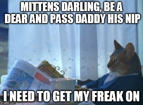 I Should Buy A Boat Cat Meme | MITTENS DARLING, BE A DEAR AND PASS DADDY HIS NIP I NEED TO GET MY FREAK ON | image tagged in memes,i should buy a boat cat | made w/ Imgflip meme maker