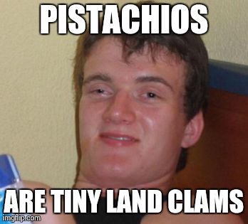 10 Guy Meme | PISTACHIOS ARE TINY LAND CLAMS | image tagged in memes,10 guy,AdviceAnimals | made w/ Imgflip meme maker