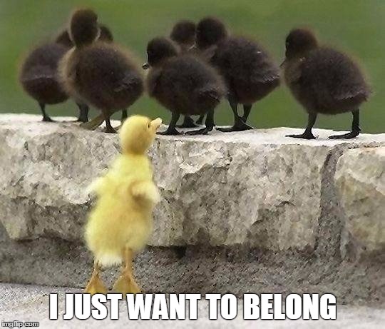 I JUST WANT TO BELONG | image tagged in belong | made w/ Imgflip meme maker
