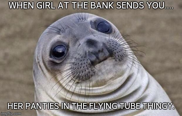 Awkward Moment Sealion | WHEN GIRL AT THE BANK SENDS YOU.... HER PANTIES IN THE FLYING TUBE THINGY. | image tagged in memes,awkward moment sealion | made w/ Imgflip meme maker