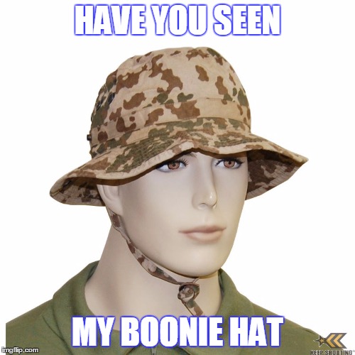 Battle Royale Necessities  | HAVE YOU SEEN MY BOONIE HAT | image tagged in arma3,battleroyale | made w/ Imgflip meme maker