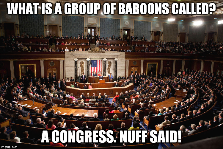 Congress | WHAT IS A GROUP OF BABOONS CALLED? A CONGRESS. NUFF SAID! | image tagged in congress | made w/ Imgflip meme maker