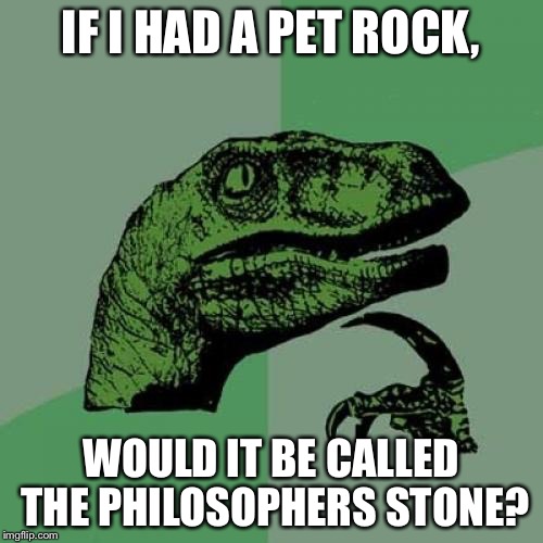 Philosoraptor | IF I HAD A PET ROCK, WOULD IT BE CALLED THE PHILOSOPHERS STONE? | image tagged in memes,philosoraptor | made w/ Imgflip meme maker