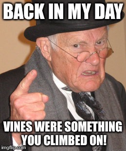 Back In My Day Meme | BACK IN MY DAY VINES WERE SOMETHING YOU CLIMBED ON! | image tagged in memes,back in my day | made w/ Imgflip meme maker