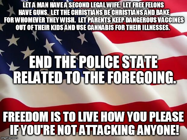 FREEDOM! | LET A MAN HAVE A SECOND LEGAL WIFE.  LET FREE FELONS HAVE GUNS.  LET THE CHRISTIANS BE CHRISTIANS AND BAKE FOR WHOMEVER THEY WISH.  LET PARE | image tagged in american flag,freedom,cannabis,marriage,vaccines,police state | made w/ Imgflip meme maker