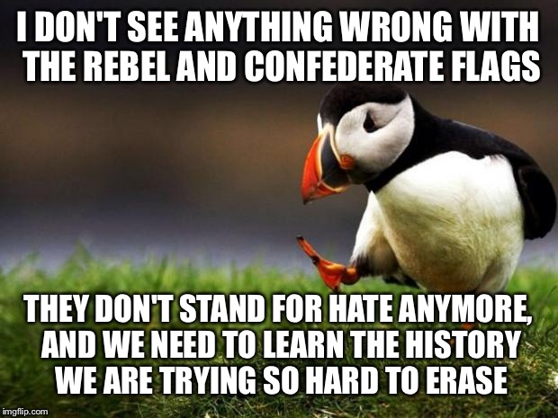 unpopular opinion penguin | I DON'T SEE ANYTHING WRONG WITH THE REBEL AND CONFEDERATE FLAGS THEY DON'T STAND FOR HATE ANYMORE, AND WE NEED TO LEARN THE HISTORY WE ARE T | image tagged in unpopular opinion penguin | made w/ Imgflip meme maker