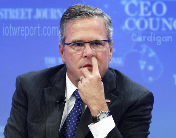 Jeb Bush Nostril Explorer Blank Meme Template