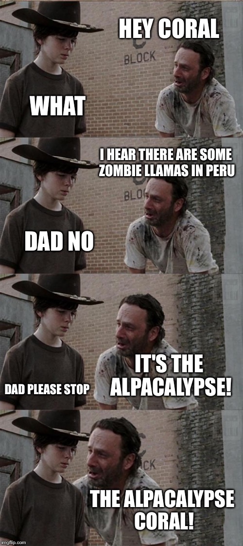 Rick and Carl Long Meme | HEY CORAL WHAT I HEAR THERE ARE SOME ZOMBIE LLAMAS IN PERU DAD NO IT'S THE ALPACALYPSE! DAD PLEASE STOP THE ALPACALYPSE CORAL! | image tagged in memes,rick and carl long | made w/ Imgflip meme maker