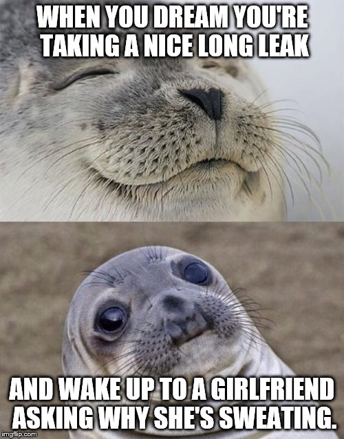 Eddie Pence has a bit on this, but I think it's happened to a lot of us. | WHEN YOU DREAM YOU'RE TAKING A NICE LONG LEAK AND WAKE UP TO A GIRLFRIEND ASKING WHY SHE'S SWEATING. | image tagged in memes,short satisfaction vs truth,sleep,pee,girlfriend | made w/ Imgflip meme maker