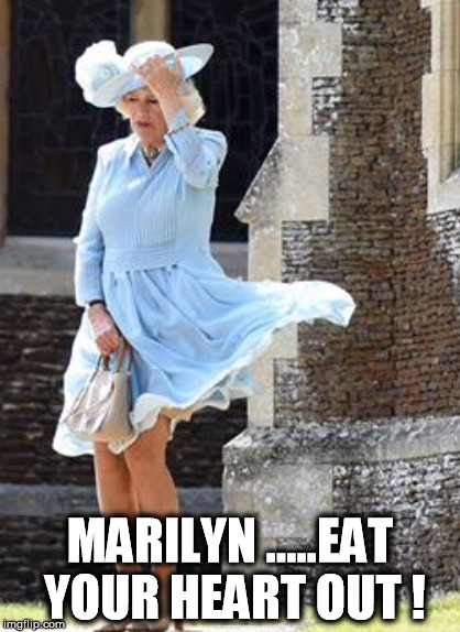 MARILYN .....EAT YOUR HEART OUT ! | image tagged in marilyn monroe | made w/ Imgflip meme maker