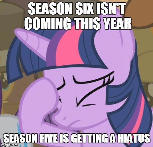 Mlp Twilight Sparkle facehoof | SEASON SIX ISN'T COMING THIS YEAR SEASON FIVE IS GETTING A HIATUS | image tagged in mlp twilight sparkle facehoof | made w/ Imgflip meme maker