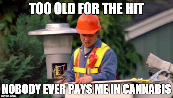 pays me in cannabis | TOO OLD FOR THE HIT NOBODY EVER PAYS ME IN CANNABIS | image tagged in nobody ever pays me | made w/ Imgflip meme maker