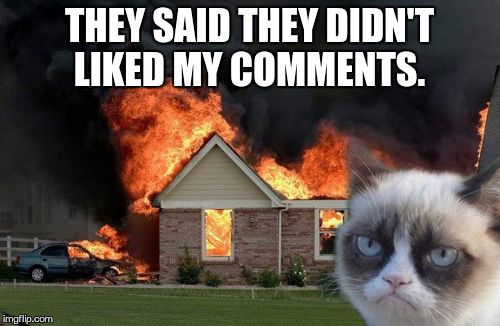 Surprise madafaka!  | THEY SAID THEY DIDN'T LIKED MY COMMENTS. | image tagged in memes,burn kitty | made w/ Imgflip meme maker