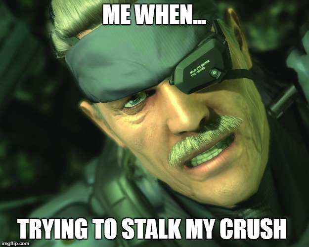 stalker snake | ME WHEN... TRYING TO STALK MY CRUSH | image tagged in metal gear solid,memes,snake,crush,stalker,bae | made w/ Imgflip meme maker