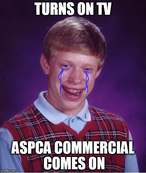 Bad Luck Brian Meme | TURNS ON TV ASPCA COMMERCIAL COMES ON | image tagged in memes,bad luck brian | made w/ Imgflip meme maker