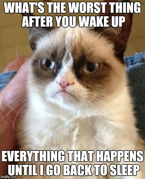 Grumpy Cat | WHAT'S THE WORST THING AFTER YOU WAKE UP EVERYTHING THAT HAPPENS UNTIL I GO BACK TO SLEEP | image tagged in memes,grumpy cat | made w/ Imgflip meme maker