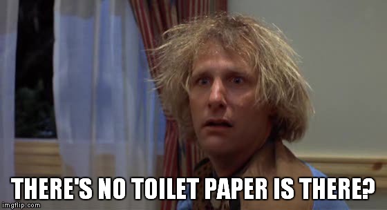 THERE'S NO TOILET PAPER IS THERE? | image tagged in toilet humor,toilet paper,dumb and dumber,harry | made w/ Imgflip meme maker