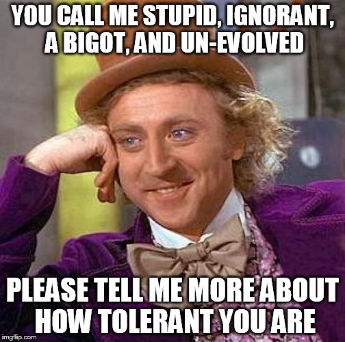 Creepy Condescending Wonka | YOU CALL ME STUPID, IGNORANT, A BIGOT, AND UN-EVOLVED PLEASE TELL ME MORE ABOUT HOW TOLERANT YOU ARE | image tagged in memes,creepy condescending wonka | made w/ Imgflip meme maker