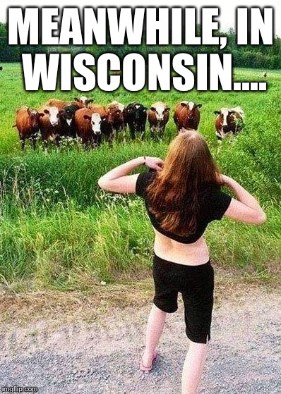 When You Drink During The Day, THIS Happens... | MEANWHILE, IN WISCONSIN.... | image tagged in flashing cows,nsfw,boobs,hilarious | made w/ Imgflip meme maker