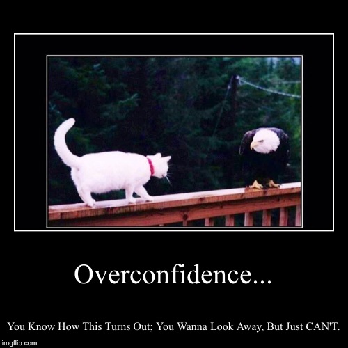 Probably Shouldn't. But Confidence Is At An All-Time High..... | image tagged in funny,demotivationals,cats,eagle,oops,animals | made w/ Imgflip demotivational maker