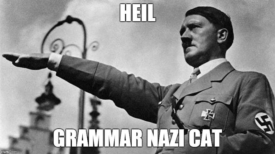 Heil Hitler | HEIL GRAMMAR NAZI CAT | image tagged in heil hitler | made w/ Imgflip meme maker