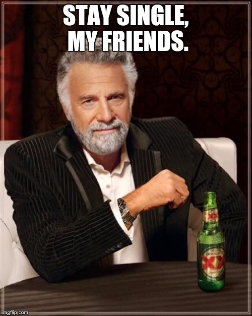 The Most Interesting Man In The World Meme | STAY SINGLE, MY FRIENDS. | image tagged in memes,the most interesting man in the world | made w/ Imgflip meme maker