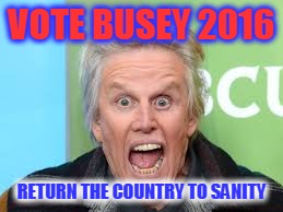 Busey for Prez | VOTE BUSEY 2016 RETURN THE COUNTRY TO SANITY | image tagged in politics | made w/ Imgflip meme maker