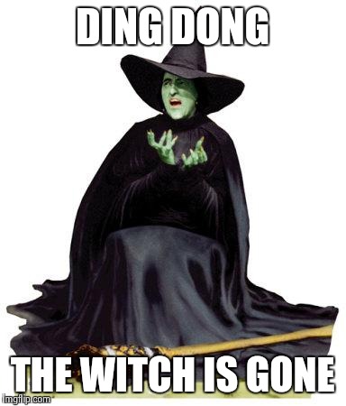 Wizard of Oz Melting | DING DONG THE WITCH IS GONE | image tagged in wizard of oz melting | made w/ Imgflip meme maker