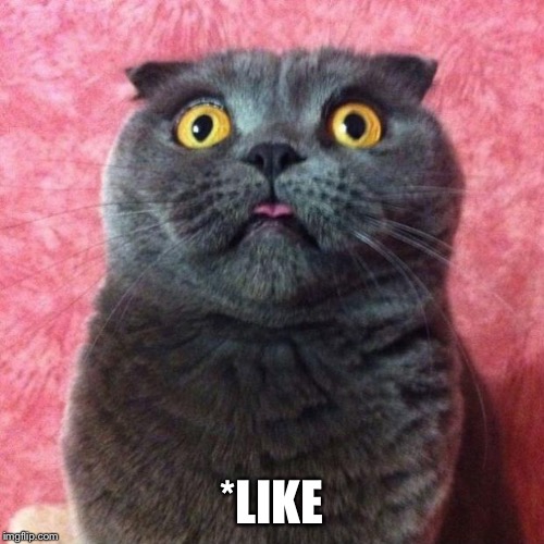 astonished cat | *LIKE | image tagged in astonished cat | made w/ Imgflip meme maker