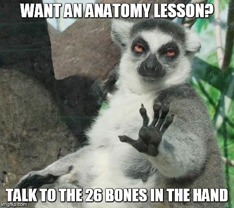 Stoner Lemur | WANT AN ANATOMY LESSON? TALK TO THE 26 BONES IN THE HAND | image tagged in memes,stoner lemur | made w/ Imgflip meme maker