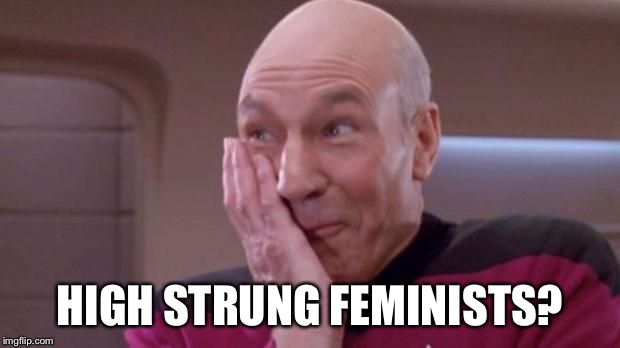 picard oops | HIGH STRUNG FEMINISTS? | image tagged in picard oops | made w/ Imgflip meme maker