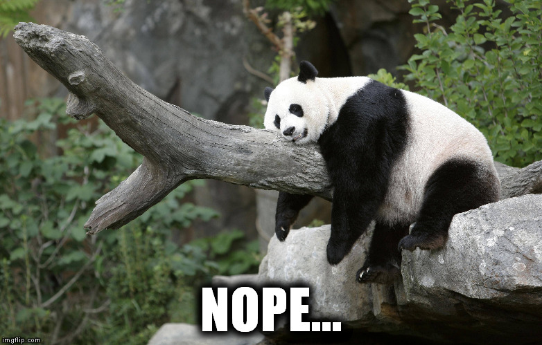 NOPE... | image tagged in nope | made w/ Imgflip meme maker