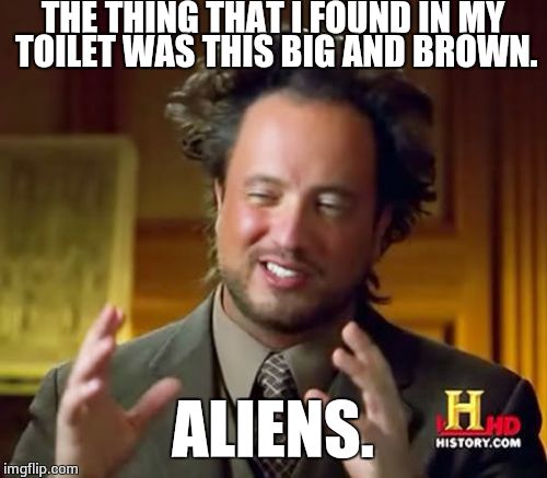 Ancient Aliens Meme | THE THING THAT I FOUND IN MY TOILET WAS THIS BIG AND BROWN. ALIENS. | image tagged in memes,ancient aliens | made w/ Imgflip meme maker