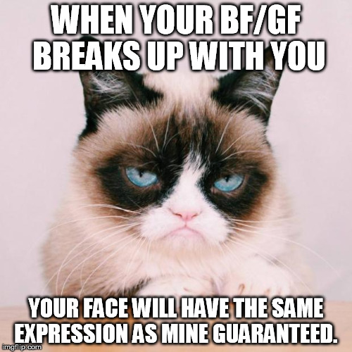 grumpy cat again | WHEN YOUR BF/GF BREAKS UP WITH YOU YOUR FACE WILL HAVE THE SAME EXPRESSION AS MINE GUARANTEED. | image tagged in grumpy cat again | made w/ Imgflip meme maker