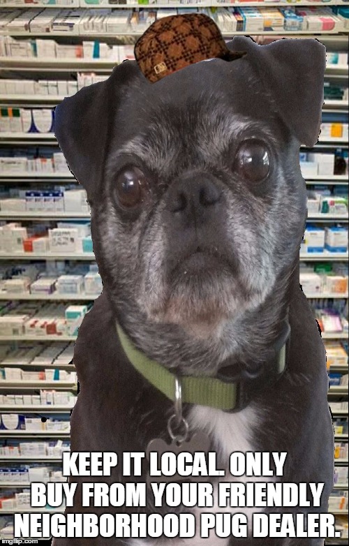 Pharmacy Pug | KEEP IT LOCAL. ONLY BUY FROM YOUR FRIENDLY NEIGHBORHOOD PUG DEALER. | image tagged in pharmacy pug,scumbag | made w/ Imgflip meme maker