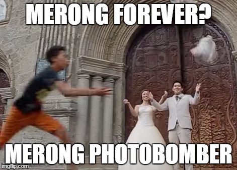 hahahaha | MERONG FOREVER? MERONG PHOTOBOMBER | image tagged in amazingphil | made w/ Imgflip meme maker