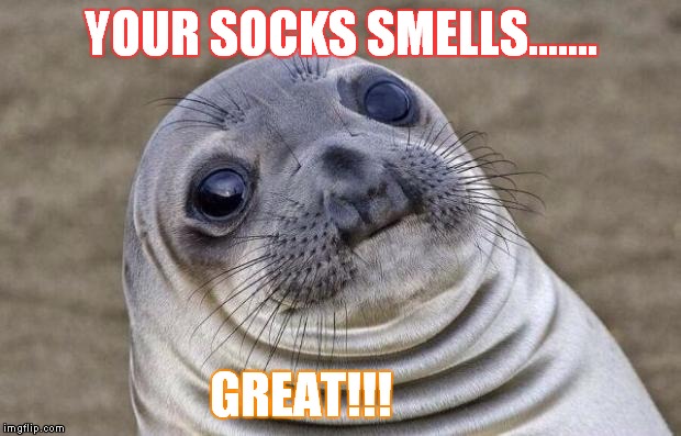 Awkward Moment Sealion | YOUR SOCKS SMELLS....... GREAT!!! | image tagged in memes,awkward moment sealion | made w/ Imgflip meme maker