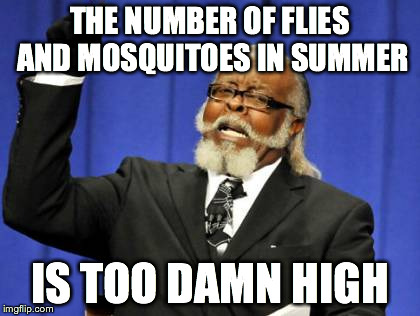 Too Damn High | THE NUMBER OF FLIES AND MOSQUITOES IN SUMMER IS TOO DAMN HIGH | image tagged in memes,too damn high | made w/ Imgflip meme maker