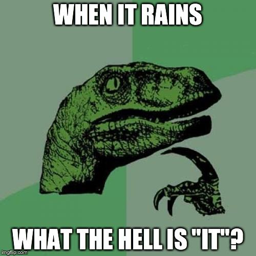 Philosoraptor Meme | WHEN IT RAINS WHAT THE HELL IS "IT"? | image tagged in memes,philosoraptor | made w/ Imgflip meme maker