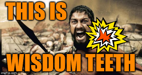 Sparta Leonidas Meme | THIS IS WISDOM TEETH | image tagged in memes,sparta leonidas | made w/ Imgflip meme maker