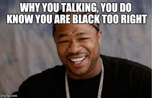 Yo Dawg Heard You Meme | WHY YOU TALKING, YOU DO KNOW YOU ARE BLACK TOO RIGHT | image tagged in memes,yo dawg heard you | made w/ Imgflip meme maker