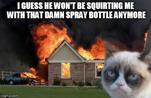 Burn Kitty Meme | I GUESS HE WON'T BE SQUIRTING ME WITH THAT DAMN SPRAY BOTTLE ANYMORE | image tagged in memes,burn kitty | made w/ Imgflip meme maker