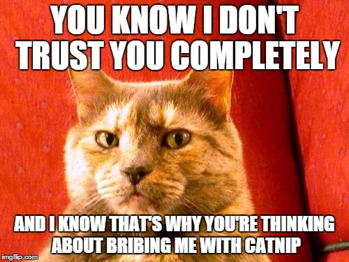 Suspicious Cat | YOU KNOW I DON'T TRUST YOU COMPLETELY AND I KNOW THAT'S WHY YOU'RE THINKING ABOUT BRIBING ME WITH CATNIP | image tagged in memes,suspicious cat | made w/ Imgflip meme maker