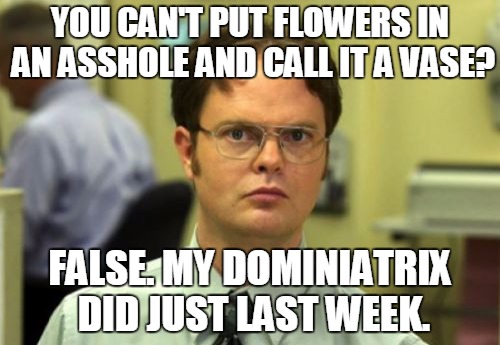 False | YOU CAN'T PUT FLOWERS IN AN ASSHOLE AND CALL IT A VASE? FALSE. MY DOMINIATRIX DID JUST LAST WEEK. | image tagged in false | made w/ Imgflip meme maker