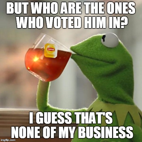 But That's None Of My Business Meme | BUT WHO ARE THE ONES WHO VOTED HIM IN? I GUESS THAT'S NONE OF MY BUSINESS | image tagged in memes,but thats none of my business,kermit the frog | made w/ Imgflip meme maker