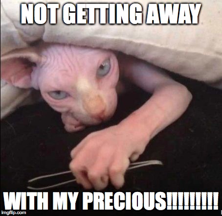 Gollum | NOT GETTING AWAY WITH MY PRECIOUS!!!!!!!!! | image tagged in my precious,lord of the rings,gollum | made w/ Imgflip meme maker