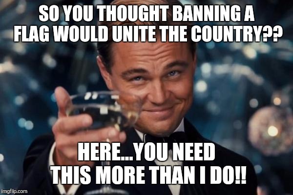 Leonardo Dicaprio Cheers | SO YOU THOUGHT BANNING A FLAG WOULD UNITE THE COUNTRY?? HERE...YOU NEED THIS MORE THAN I DO!! | image tagged in memes,leonardo dicaprio cheers | made w/ Imgflip meme maker