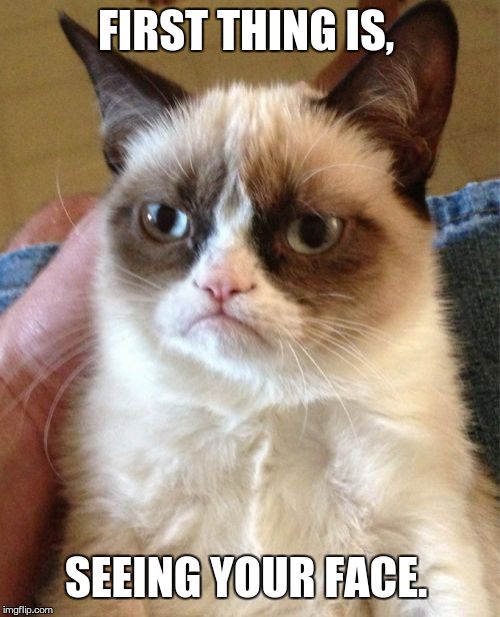Grumpy Cat Meme | FIRST THING IS, SEEING YOUR FACE. | image tagged in memes,grumpy cat | made w/ Imgflip meme maker