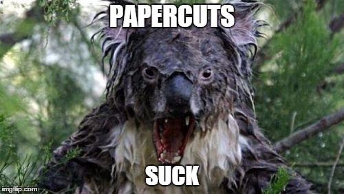 Angry Koala Meme | PAPERCUTS SUCK | image tagged in memes,angry koala | made w/ Imgflip meme maker